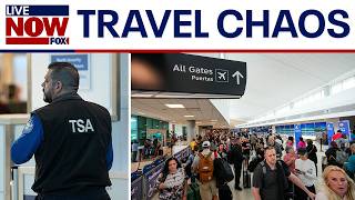 DHS shutdown: TSA staffing shortages causes airport chaos across US