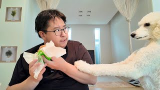動画投稿しなくなり１００日以上経過してたわ。