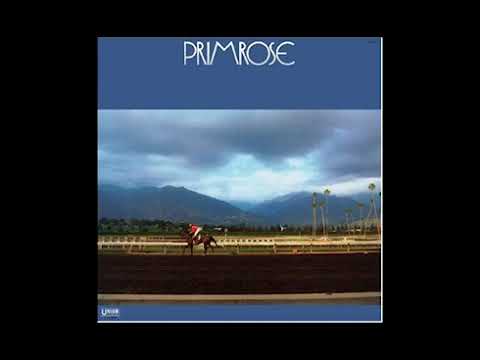 Hiromasa Suzuki Trio ‎– Primrose 1978