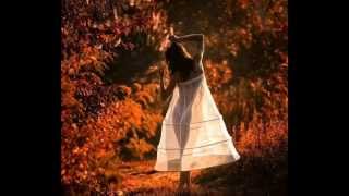 Ani Difranco- Little Plastic Castle