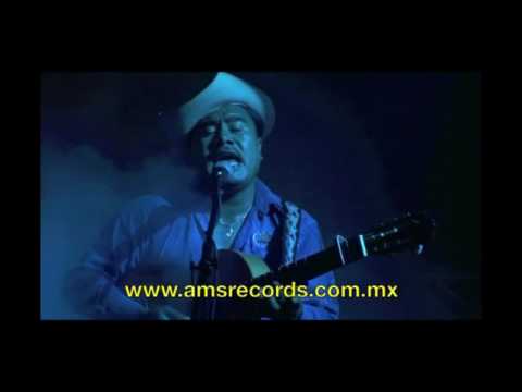 Los Armadillos de la Sierra -  La Sigo Amando (Video Oficial)