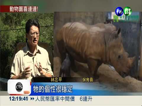 台北動物園有喜! 生力軍接連報到