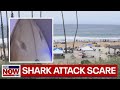 Shark attack scare shuts down popular beach on Memorial Day | LiveNOW from FOX