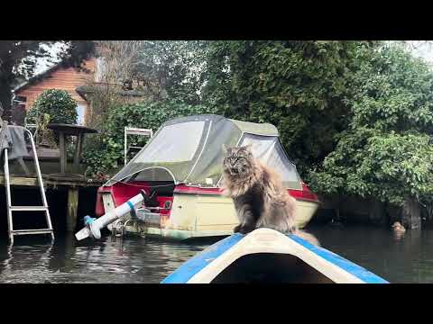 Louis is so Cool: Grooming, Kayaking, and Refusing to Go Home