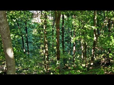 Dreieinigkeit/Trinität °32g To Conceptualize or not conceptualize that is here the question.