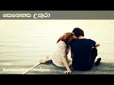 Senehasa Uthura සෙනෙහස උතුරා වාං දමන කොට | Karunarathna Divulgane