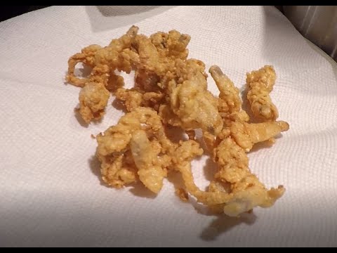 YouTube video about: Can dogs eat fried clam strips?