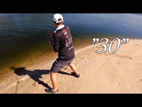 Record Shattering Fluke Session - DECUPLE Limit - 30 (legit) Keepers to 6lbs Fishing from Shore