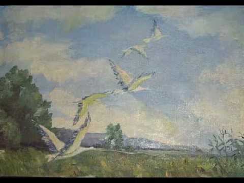 RONET - Oj, letili husky/ Ej, hori rybky, hori