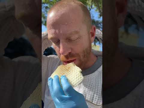 Warm, fresh honey straight from the beehive. #savethebees