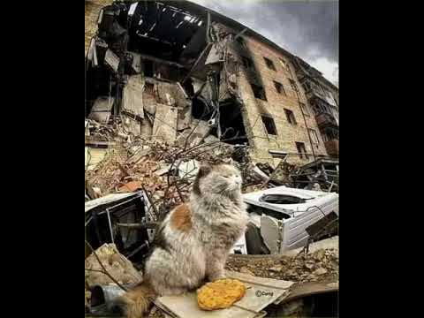 Redco - agressors (drum&bass)mp3