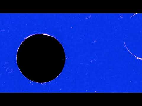 FREE PUNCH HOLE TRANSITION OVERLAY 4K
