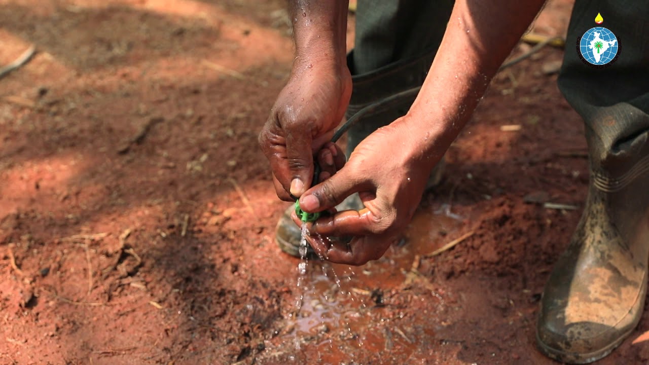 Oilpalm 2018 Irrigation Management