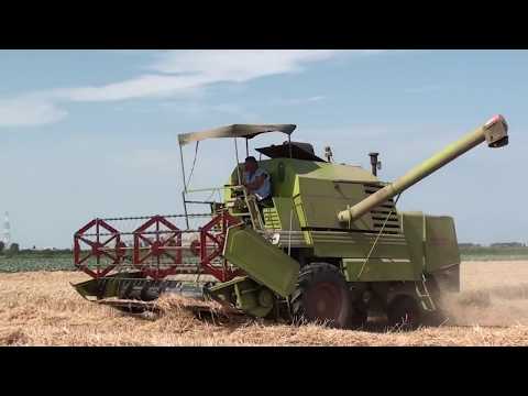Landb. Vanrobaeys - Vlamertinge - Claas Mercator 70