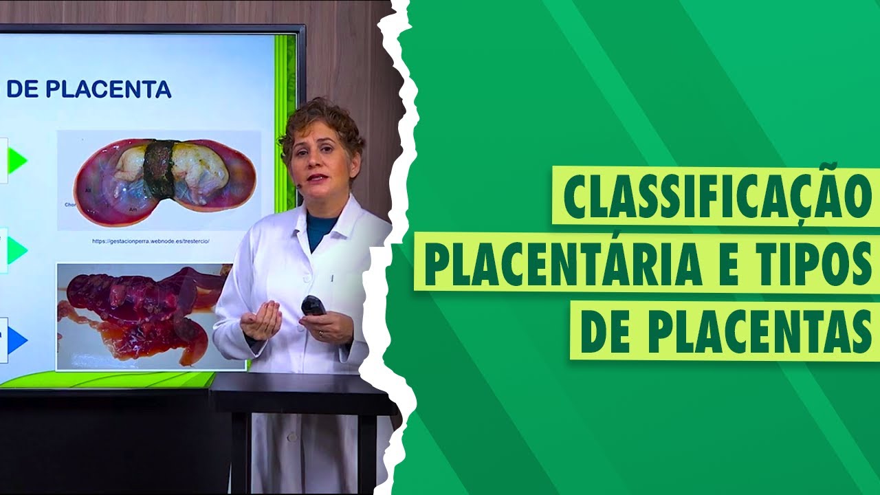 Tipos de placenta nas espécies de animais domésticos