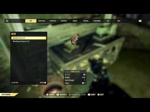 Helping low level on Fallout 76 part 3 crashing all day