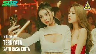 Download lagu DJ BREAKBEAT TERNYATA X SATU RASA CINTA (SHD V2) 2022||SBR V2 mp3