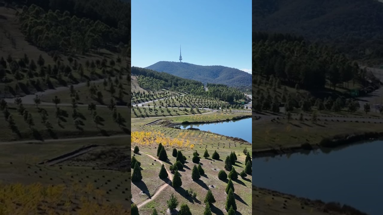 YouTube Short thumbnail