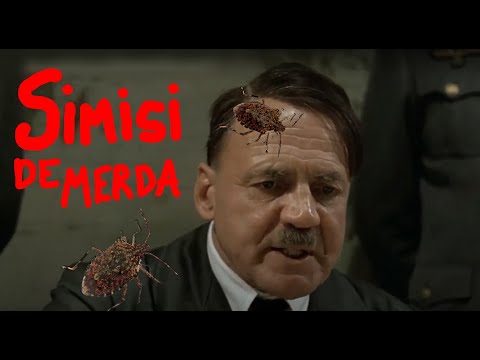 SIMISI DE MERDA in VENETO