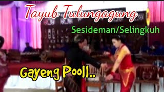 Download lagu Tayub Tulungagung Sesideman Gayeng Poll... mp3 Download lagu Tayub Tulungagung Sesideman Gayeng Poll... mp3