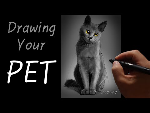 Drawing PET(CAT)_Freehand Sketch in Photoshop