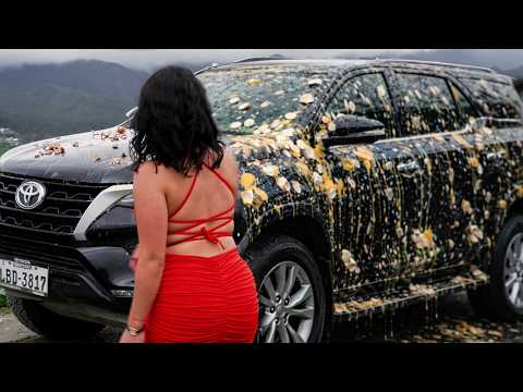 Le lanzó huevos al carro de su novio sin saber quién era realmente el dueño