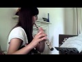 Someone like you Adele Flute Cover 