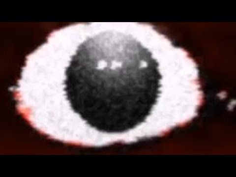 Seek Chase Floor 2 song by TRAYN$