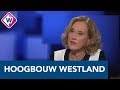 'We moeten kijken naar hoogbouw in het Westland' - OMROEP WEST
