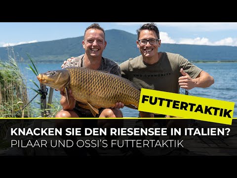 Futtertaktik am riesigen italienischen See | Pilaar & Ossi on Tour | Anfüttern | Karpfenangeln