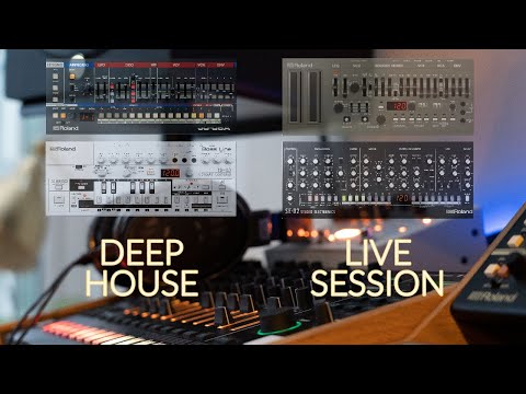 LIVE Session #6 | Deep House | Roland TR8S / SH01A / JU06A / JD990 / XV5080 / RE-303 / MX-1