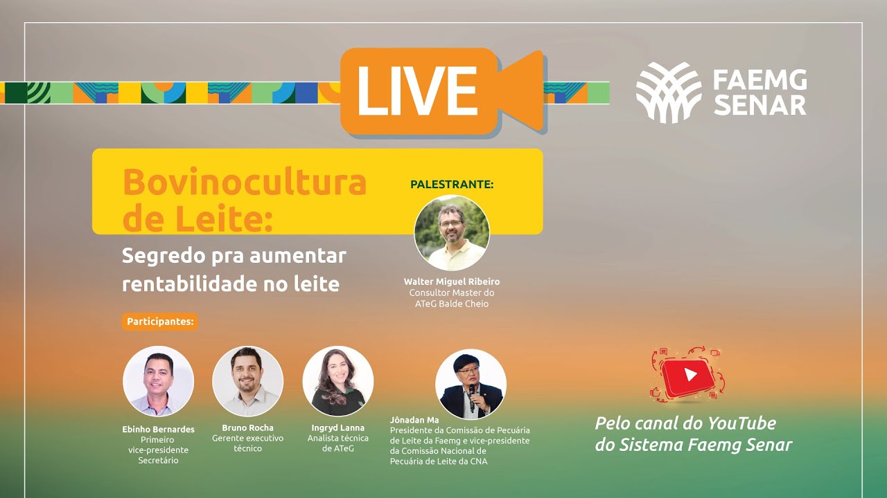 LIVE: O segredo para aumentar a RENTABILIDADE no LEITE!
