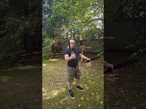 Machaera iacitur: ferrum grave, motus simplex. (Machete thrown: heavy blade, simple motion)