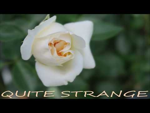 Elaine M - Quite Strange
