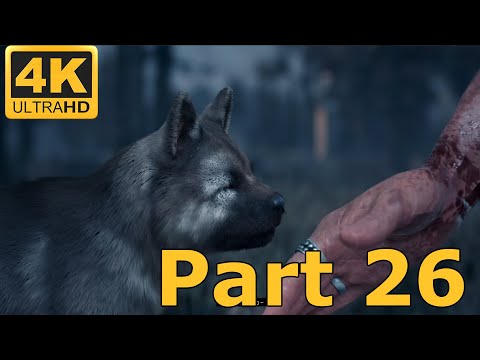 DAYS GONE Walkthrough Gameplay Part 26 -Have it your way (PS4 Pro 4K)