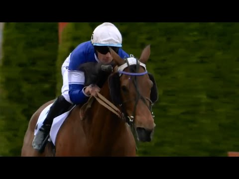 Montéeliten 2022 - Florida Sport