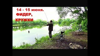 Ловля окуня на кружки в июне