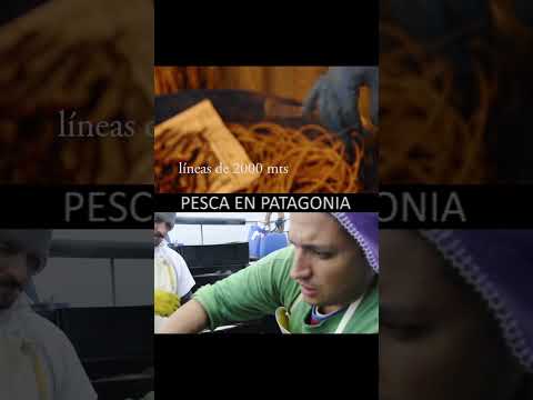 Pesca artesanal con espinel  Surea Patagonia #pesca #argentina #patagonia