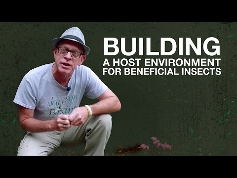Building A Host Environment For Beneficial Insects with Paul Zimmerman