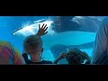 SeaWorld Halloween Sea World Part 2 VLOG