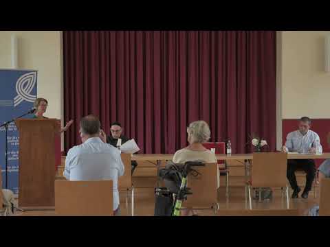 Podiumsdiskussion 19 07 2020 Teil 1