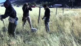 preview picture of video 'Installing wildlife-friendly fence south of Emigrant, Montana'