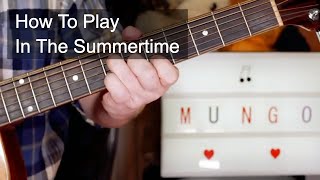 'In The Summertime' Mungo Jerry Acoustic Guitar Lesson