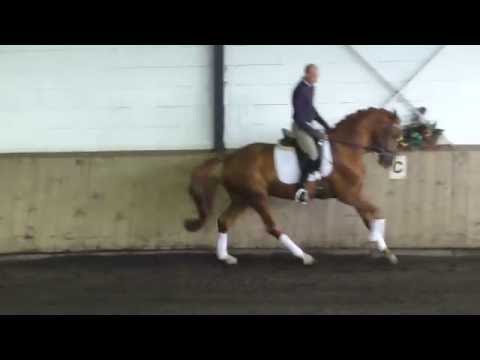 Wallach von Quasar de Charry