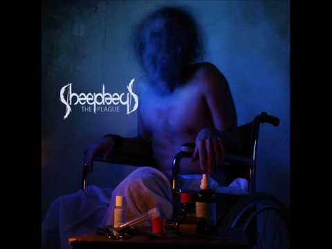 Sheephead - The Decision