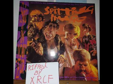 Spitting Image - Never Met a Nice South African (Vinyl 24-96 Rip)