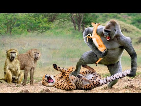 FLYING OVER VIETNAM (4K UHD) - Relaxing Music Along With Beautiful Nature Videos-4K Video HD 8kvideo