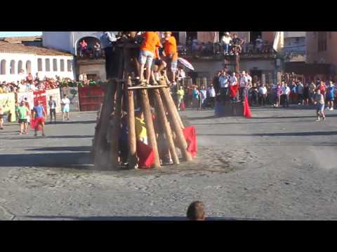 Toros Sábado 20 de agosto 2016