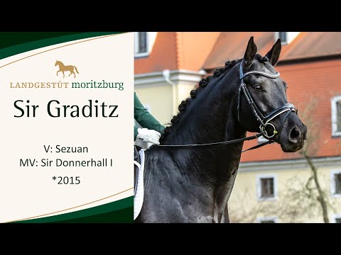 SIR GRADITZ v. Sezuan - Sir Donnerhall I 2023