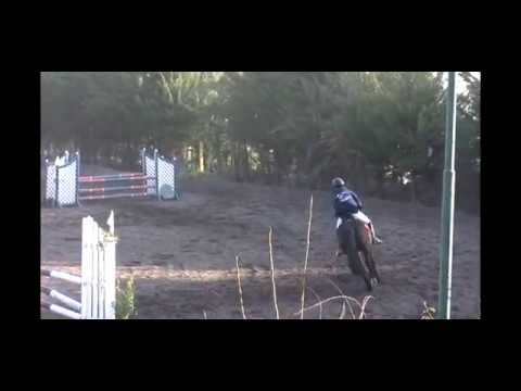 Manuel Pavez     Equitacion  U.de Chile